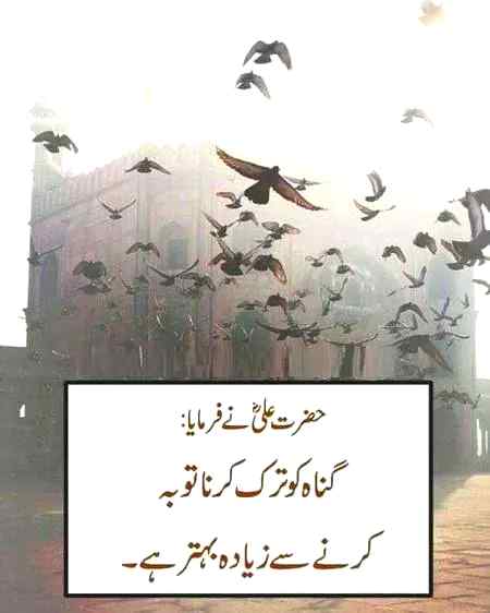 Samajh ma a jai tu behter ha .