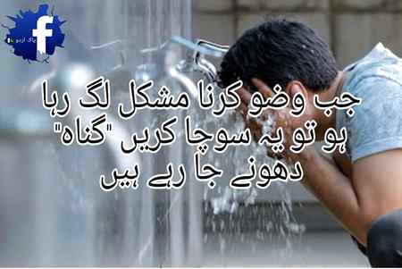 hlo friends