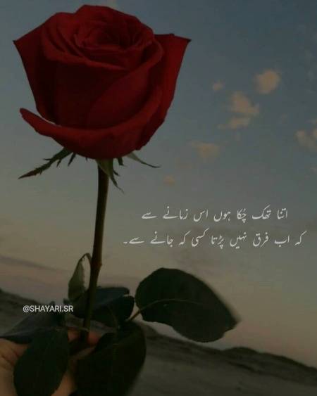 Kisi K Jany Se 🙂✌️