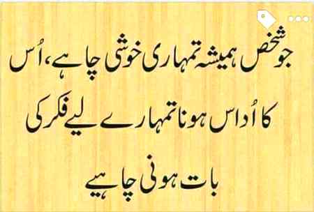 Q na ho fiber uski