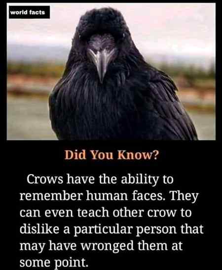 World facts...