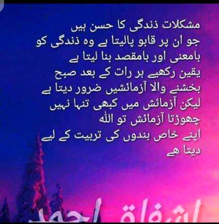 Hmm brshak🙂