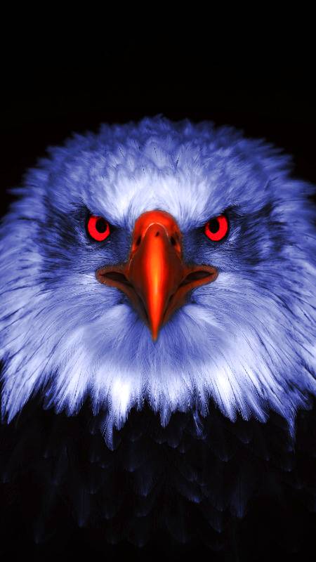 Ooo nice photography