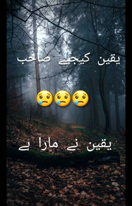 Yaqeen kijiye sahib...