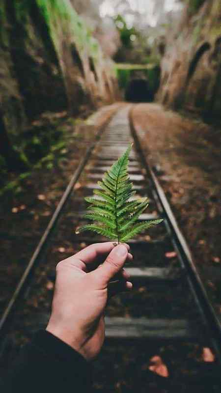 وہ جا چکا ہے مجھ کو بھی معلوم ہے مگر

جس سمت وہ گیا ہے ادھر دیکھنے تو دو.. 🥀🙂