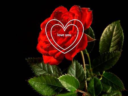 What is love?