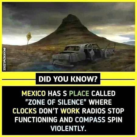 DID YOU KNOW ??