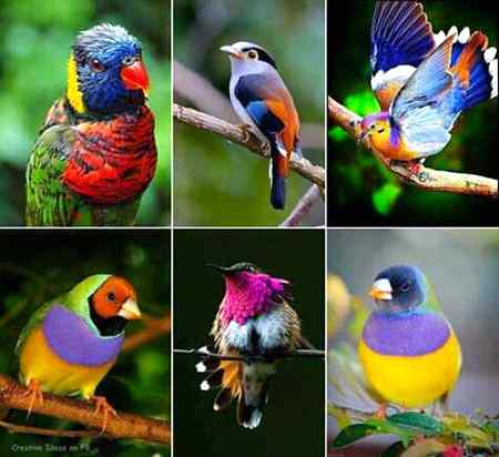 Natural beauty