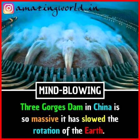 DID YOU KNOW??