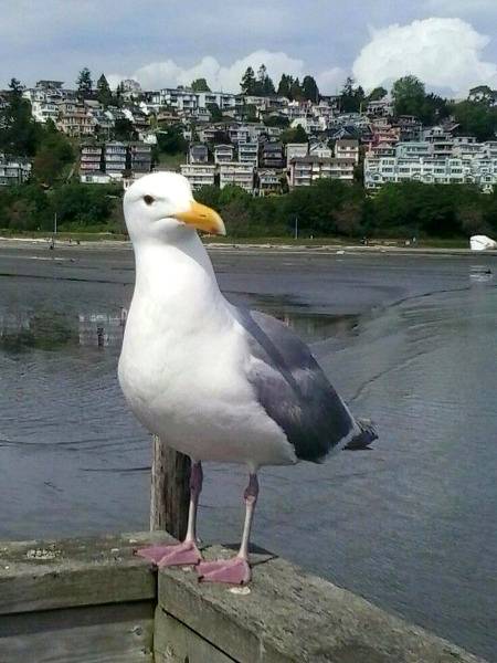 Awesome photography 💕💕