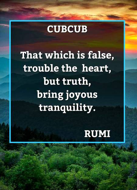 RUMI'S WORDS