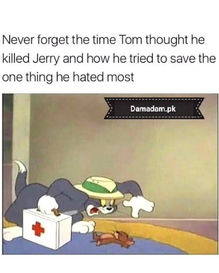 Jokes and memes