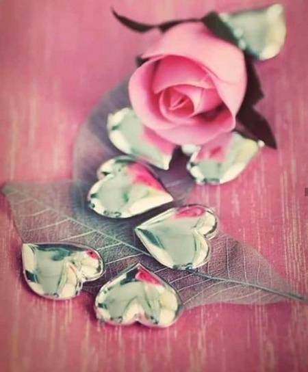 غرور نھیں ھے مجھ میں_ نہ ھی انا کا مسلہ ھے

منافقت جہاں پہ دیکھ لوں_ میں رشتہ توڑ دیتی  ھوں