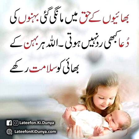 Sary bolo amren