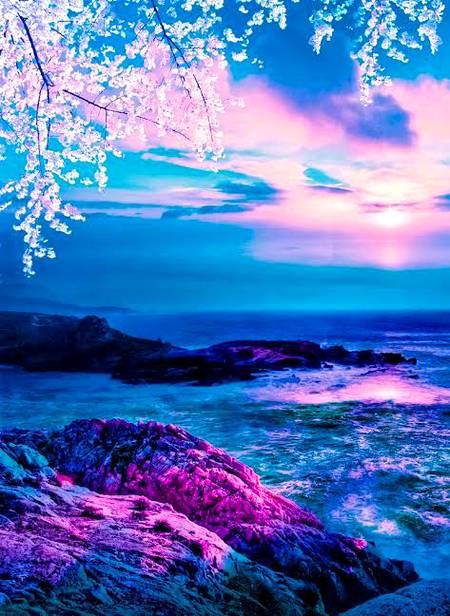Beautiful view...❤