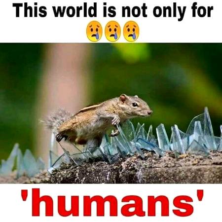 This world is not only for"HUMANS"