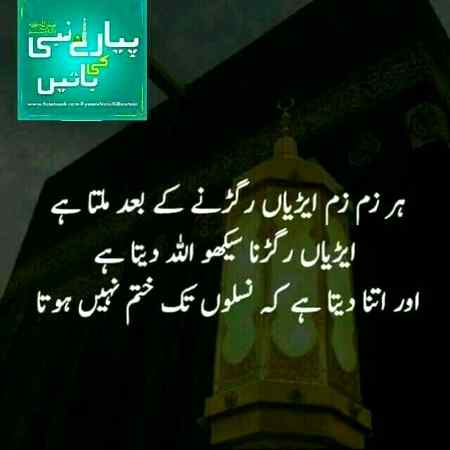 Allah Hafiz 🌹🌺🌹🌺🌺🌺🍎💐🌷🌹🌹🌹🌹