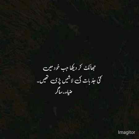 خود اپنے ہی پاؤں پکڑ کر میں نے
اپنے کیے کی مانگی ہیں معافیاں😔💓