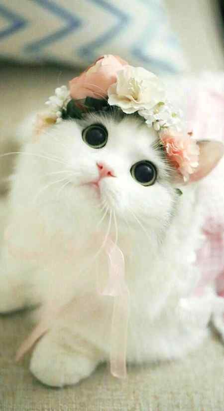 💞😍❤ Cute na ❤😍💞