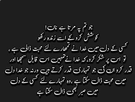 Superb...💐💐💐