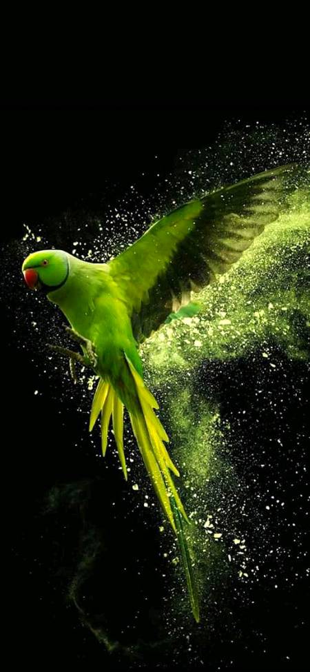 Nice photography