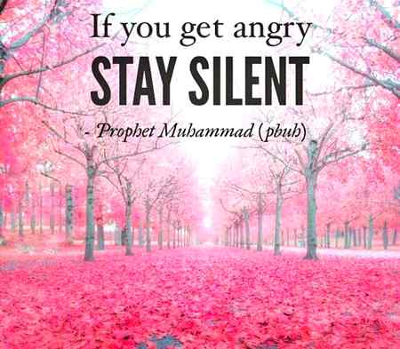 The Sunnah