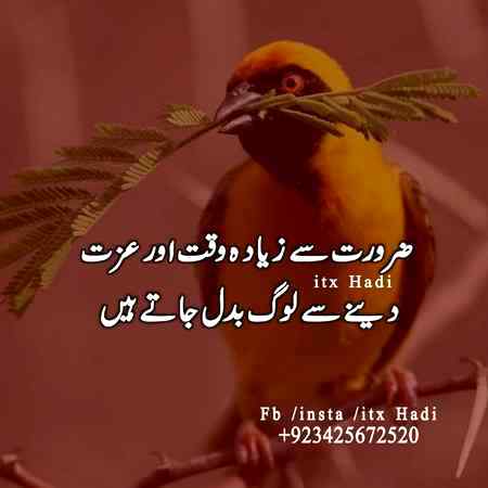 Bilkul tehk bol rhi hy ye chiriaaaa