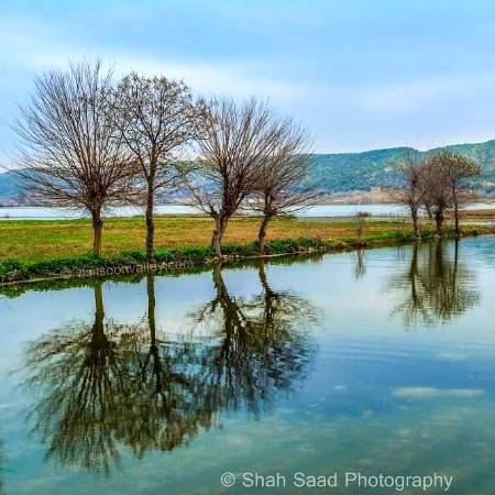 THIS IS BEAUTY OF SOON VALLEY