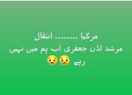 Abhi Abhi Aap Ko Afsosnak Khaber Daite Hain Murshid Laddan Jaffer Nepal K Liye Rawana Baqool un K Sham Ko Wapis Aa Jaen Gay Aa Gaya toh Jawan Ho Kar 😢😢😢