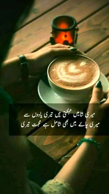 میرے اشک بھی ہیں اِس میں یہ شراب اُبل نہ جائے۔۔
میرا جام چھونے والے تیرا ہاتھ جل نہ جائے۔۔