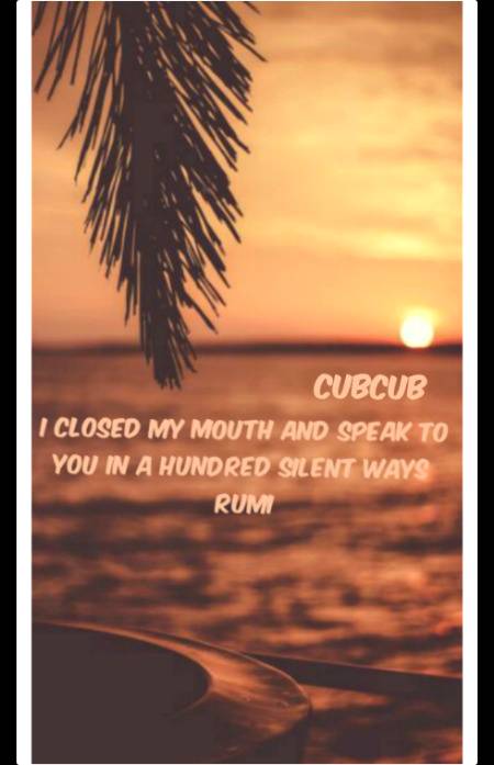 Rumi words