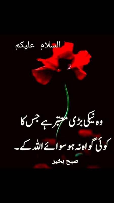 As salam o Aliykum