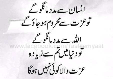 🍂🌹🌷🍁 اَللّٰهُ اَکْبَر اَللّٰهُ اَکْبَر، لَا اِلٰهَ اِلاَّ اللّٰهُ وَاللّٰهُ اَکْبَر، اَللهُ اَكْبَرْ وَِللهِ الْحمْدُاَللّٰهُ اَکْبَرکَبِیْرًا وَالْحَمْدُ ِلِلهِ کَثِیْرًا وَ سُبْحَانَ اللهِ بُکْرَةً وَّاَصِیْلاً🌷🌹🍂🍁
🌹🌹🌹صلی اللہ علی حبیبہ محمد نور من نوراللہ وعلی آلہ واہل بیتہ وعترتہ وازواجہ وصحبہ وجدہ وذریتہ و کل امتہ وبارک وسلم کثیراً کثیرا و دائماً ابدا 🌹🌹🌹