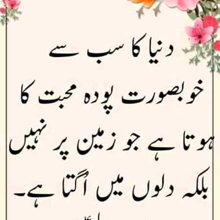 Sending by fareed ahmed shaikh