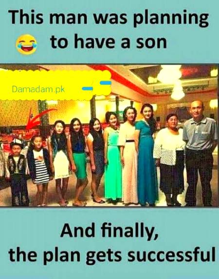 Jokes and memes