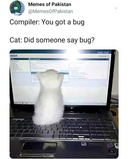 Memes & Satire image