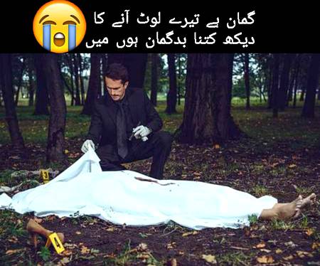 گمان ہے تیرے لوٹ آنے کا 
____
دیکھ کتنا بدگمان ہوں میں