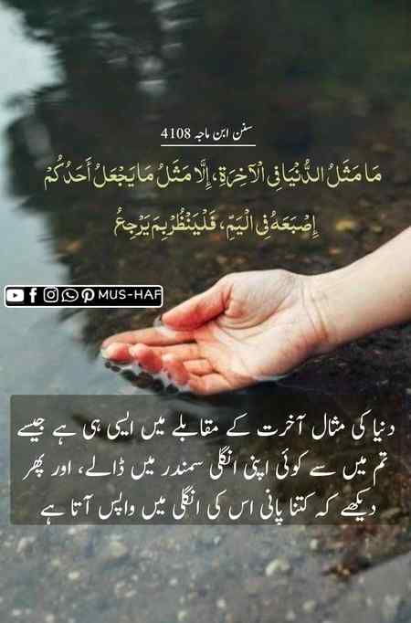 دنیا کی مثال