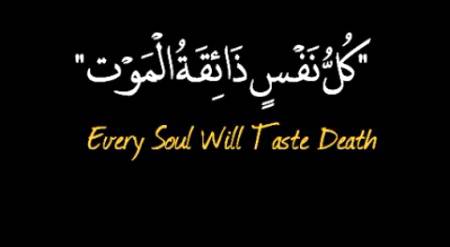 ہاں ہـم پھول چہـرہ لـوگ,, یعنی حسین,, یعـنی بہـت حسـین 

یـعنی کــہ ہـــم بــــھی ایـک دن خــاک ہــــوجـــائینگے

 یعنـی کــہ مٹـی, مٹـی میـں مـل جــــائے گـئی 

یعنــی بــے نشــان ہــوجـائینگے۔