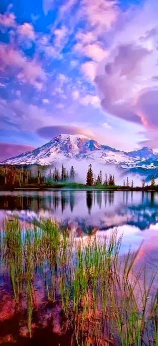 Beautyfull world
