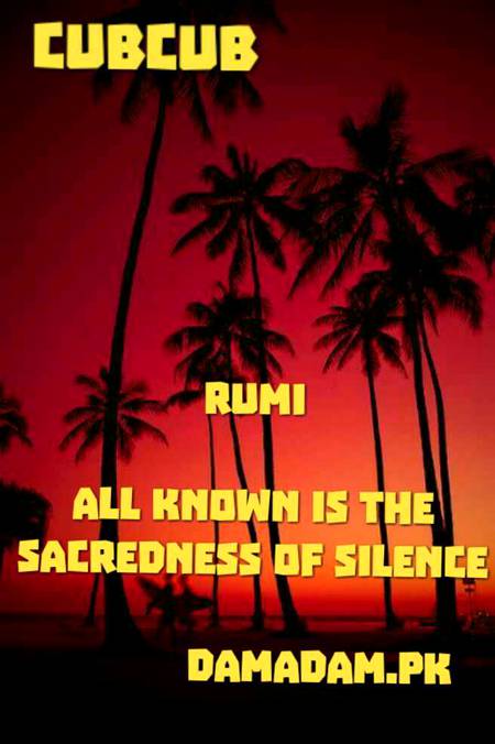 Rumi's words