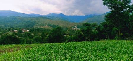 beautiful view 😍👌
clicked by Umer