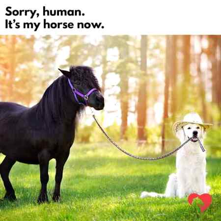 I want both of them😕😑😑😣😋