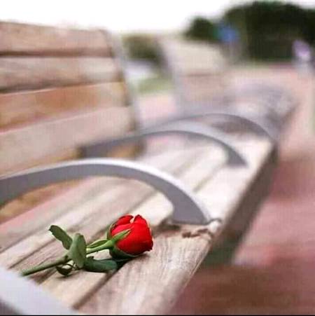 کبھی کبھی صرف وہ شخص ہی مصیبت میں نہیں ہوتا جو آزمایا جا رہا ہوتا ہے بلکہ کبھی کبھی وہ شخص زیادہ مصیبت میں ہوتا ہے جو آزما رہا ہوتا ہے...