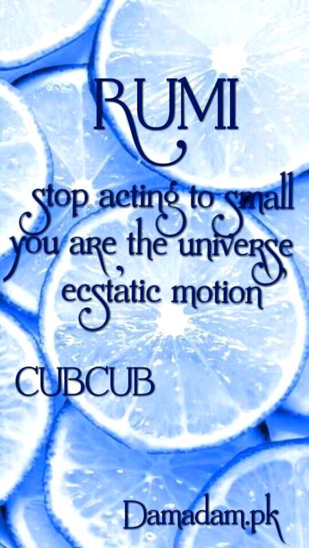 RUMI'S WORDS