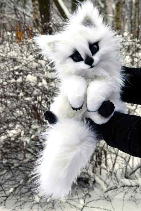 Shoooo cuteeeee😀😍😍😍😍😍🍥🍥🍥🍥🍥