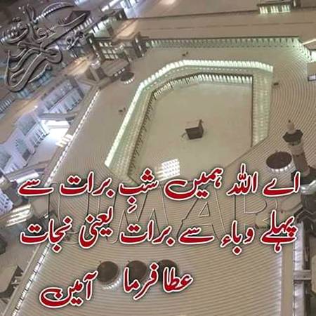 Sary bolo ameen