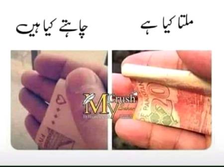 Expectation vs Reality