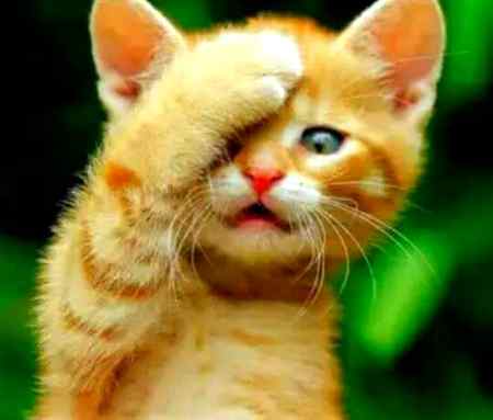 Ufff yeh Barish kab band hogi😒🤔🤦🤦🌧️🌧️☔️