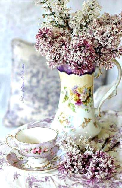 Morning friends